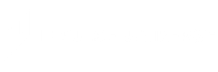 IMPULSE UNIVERSE INC